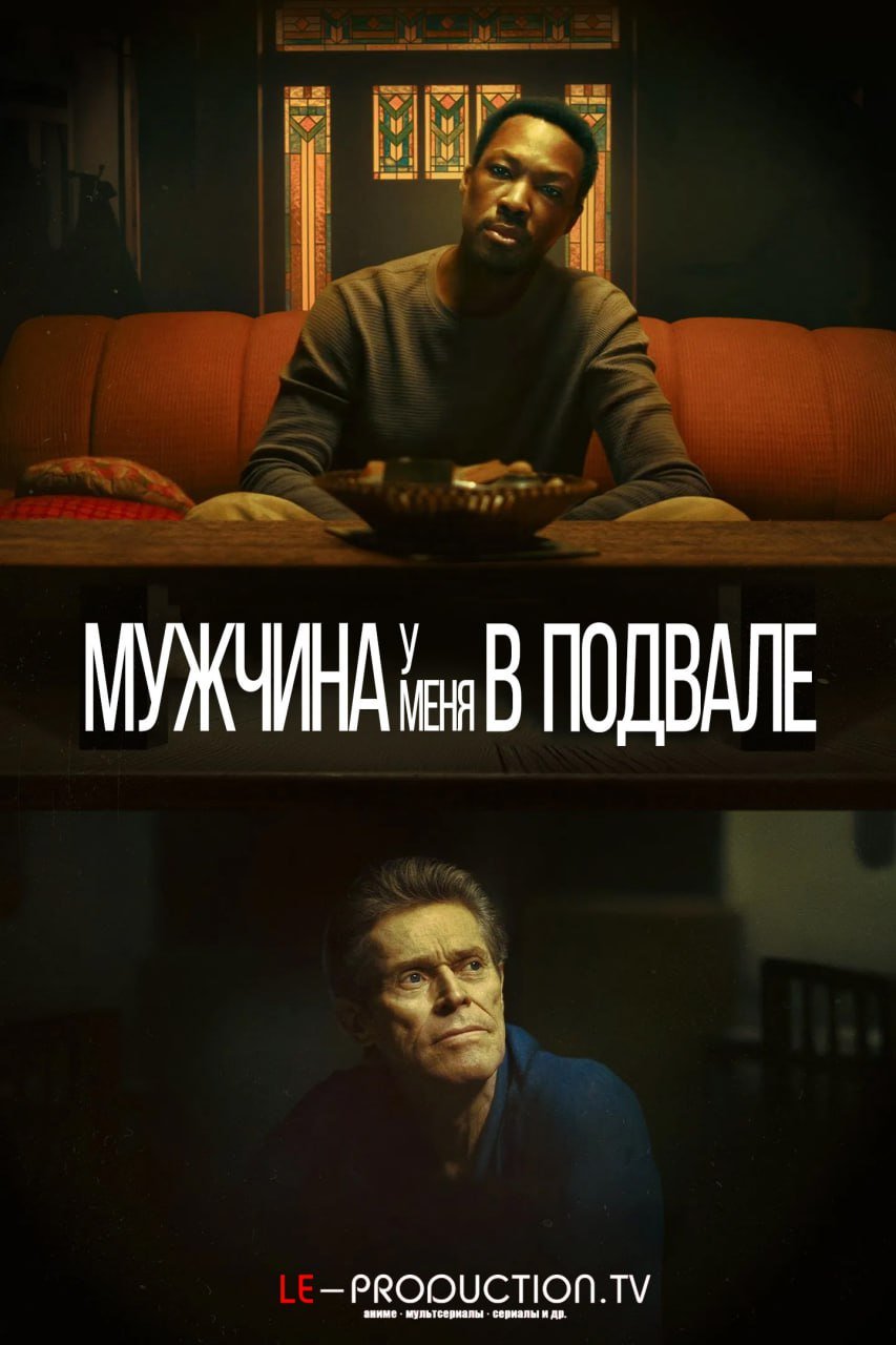 Мужчина у меня в подвале